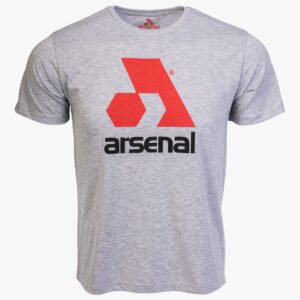 Arsenal Small Gray Cotton Relaxed Fit Logo T-Shirt